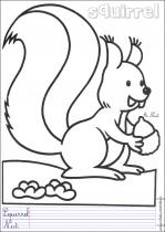 coloriage-ecureuil-1